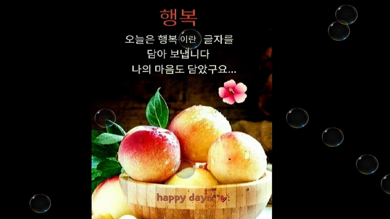 행복을찾아서
