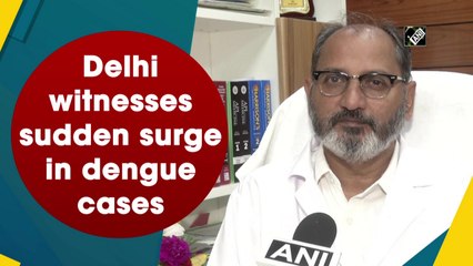 Delhi witnesses sudden surge in dengue cases