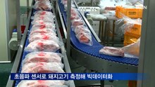 초음파 센서로 돼지고기 품질 측정해 빅데이터화