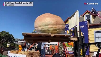 فيديو: مزارع أمريكي يفوز بجائزة "أكبر يقطينة" في كاليفورنيا