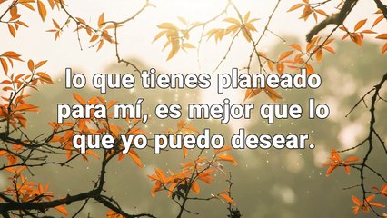 ORACION DE LA MAÑANA DEL DIA DE HOY-Miercoles 13 de Octubre de 2021- Oracion SEÑOR TU GRACIA EN MI