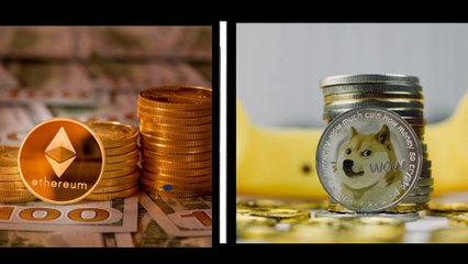 SHIBA Inu Coin क्या है?