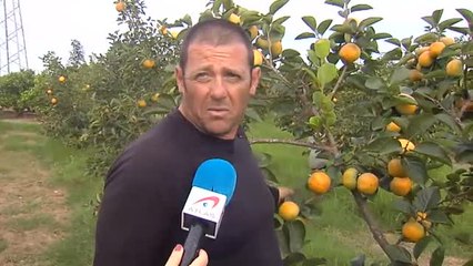 El Gobierno prepara una ley de prevención del desperdicio alimentario