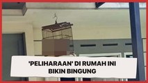 'Peliharaan' di Rumah Ini Bikin Bingung, Warganet: Gimana Masuk Kandangnya?