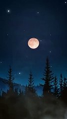 best new status #2021 __ जंगल है आधी रात है #livestream #reels #shorts jungel ♥️♥️♥️ ❣️