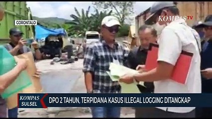 DPO 2 Tahun, Terpidana Kasus Ilegal Logging Ditangkap