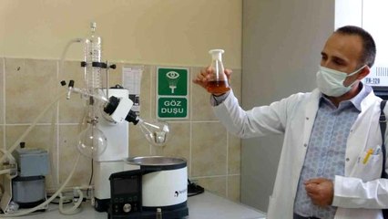 Kafkas Arısı Gen Merkezi Müdürlüğü'nde iki yılda 446 bal analizi yapıldı