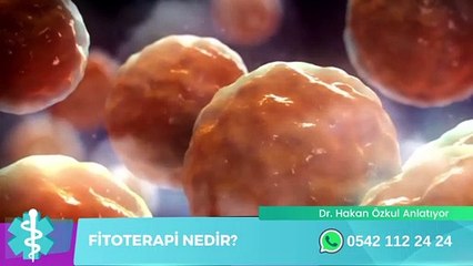FİTOTERAPİ NEDİR  DR. HAKAN ÖZKUL