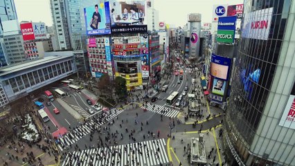 Home Sweet Home Alone - Trailer