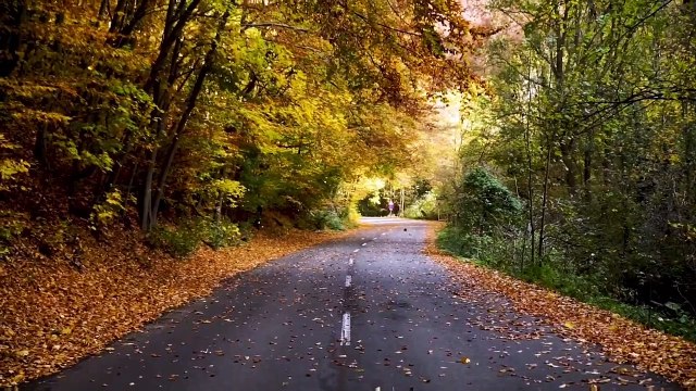 NETURERAL SOUND, MINDSET, RELAXING, STUDY MUSIC,FLUTES, WATERFALL, SLEEP, ZEN MUSIC, SPA, FLUTE,