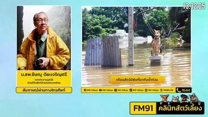 เตือนสัตว์มีพิษที่มากับน้ำท่วม EP.1 : FM91 คลินิกสัตว์เลี้ยง : 9 ตุลาคม 2564