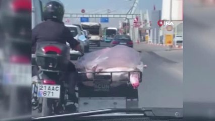 Diyarbakır'da sağlıksız et taşıma görenleri şaşırttı