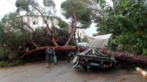Aydın’da fırtına: 7 yaralı, 15 iş yeri ile 17 araçta hasar