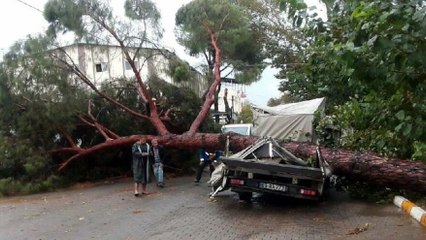 Aydın’da fırtına: 7 yaralı, 15 iş yeri ile 17 araçta hasar