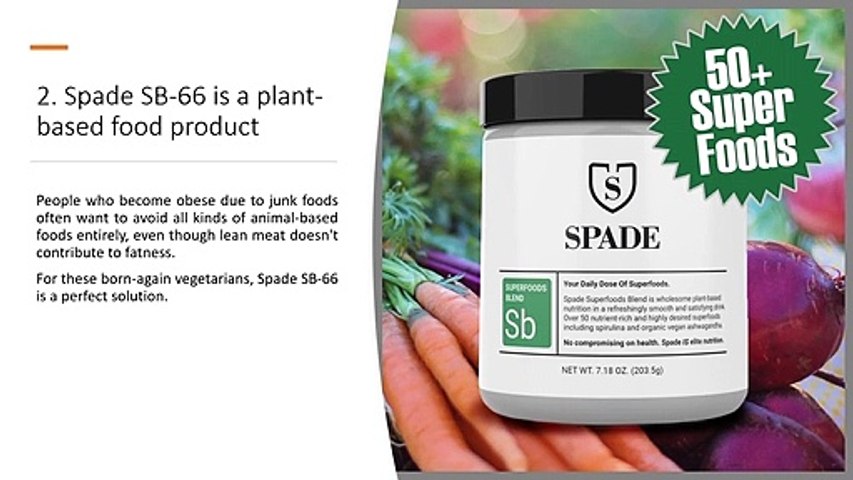Spade SB-66 Reviews  || Smoothfat || Flat Belly