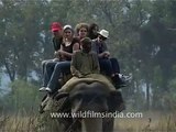 Elephant ride in Corbett National Park