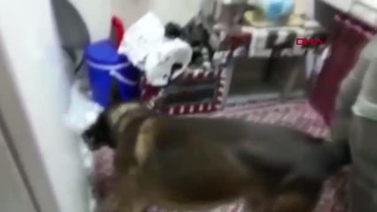 BİRLİKTE YAŞADIĞI NURULLAH'I KORUMAK İÇİN UYUŞTURUCUYU İÇ ÇAMAŞIRINA SAKLAMIŞ