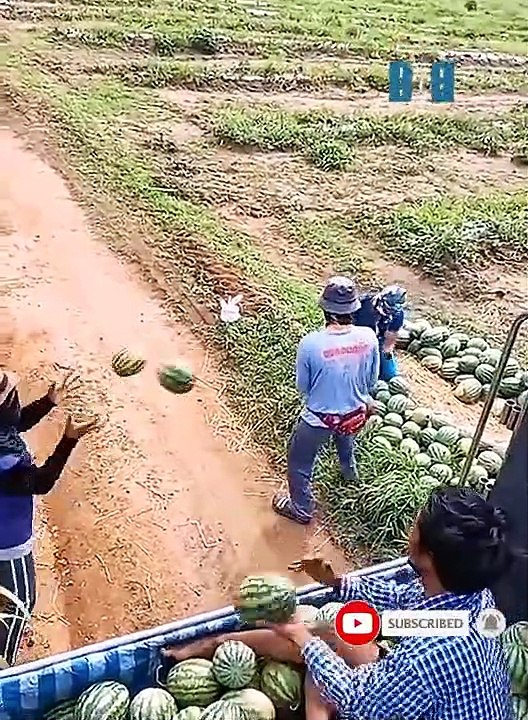 Professional Fastest Workers 2021 - High Level Expert Skills In Their Work _32