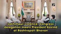 Lakhimpur violence: Congress delegation meets President Kovind at Rashtrapati Bhavan