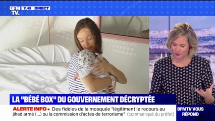 Qu'est-ce qu'une "bébé box" ? BFMTV répond à vos questions