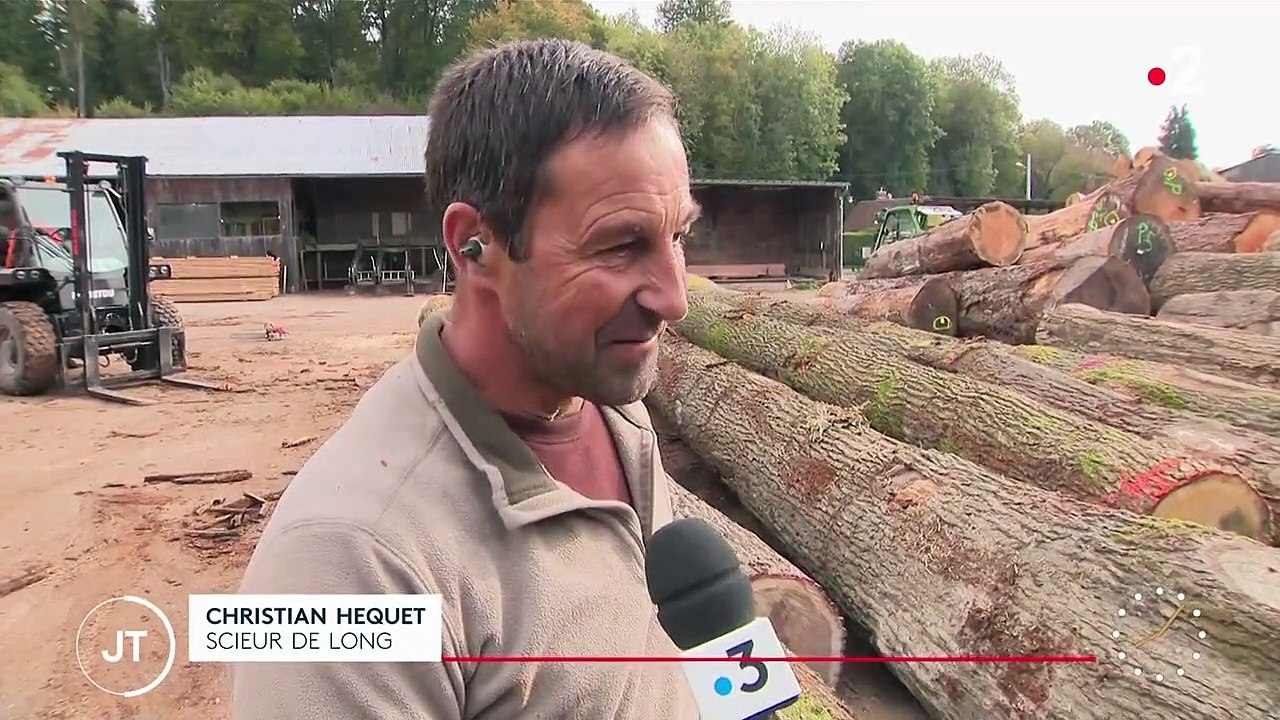 Notre-Dame de Paris : le beau contrat d'une scierie normande
