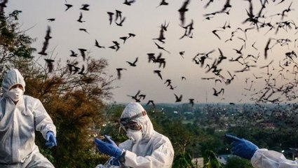 Çin, koronanın kökenini bulmak için harekete geçti! Wuhan'da 200 binden fazla kan örneği toplandı