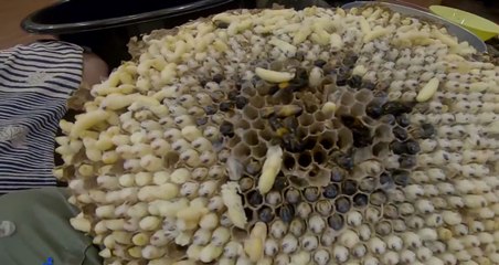 เรื่องพลบค่ำ (ช่วงที่ 1) วันพุธที่ 13 ตุลาคม 2564