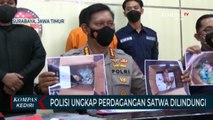 Polda Jawa Timur Bongkar Kasus Perdagangan Satwa Dilindungi