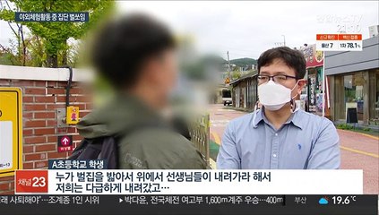 군위 초등생 등 수십명 벌 쏘임…"교사 대처로 큰 피해 막아"
