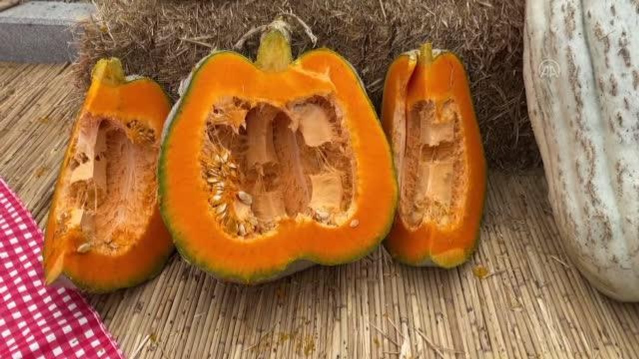 Vatandaşlar festivale kabak tatlısı ikramıyla davet edildi