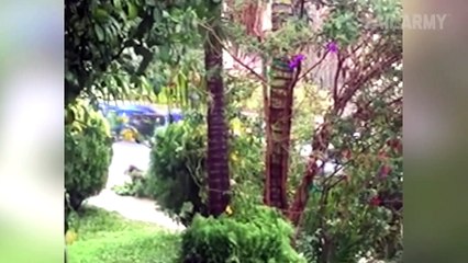 Tertawalah sebelum tertawa itu dilarang (Part 8)