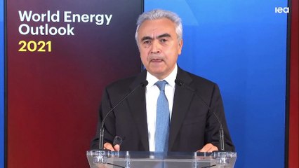 Clima, Agenzia internazionale per l'energia: "Transizione troppo lenta"