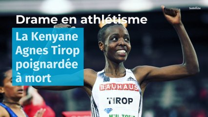 Drame en athlétisme : la Kenyane Agnes Tirop poignardée à mort