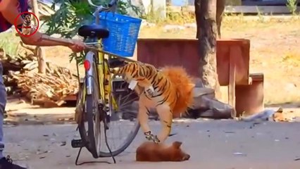 2_Troll-Prank-Dog-Fake-Snake-Vs-Monkeys-and-Big-Fake