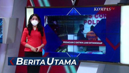 Kulit Macan Tutul Jawa Jadi Bukti Perdagangan Satwa Ilegal di Hutan Jember