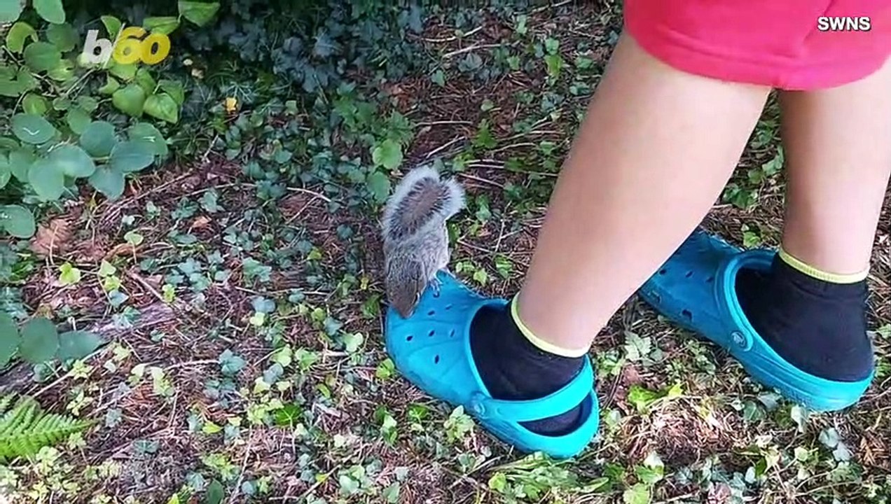 Family Rescues Squirrel and Gives Him His Own Room In Their House