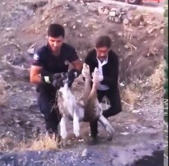 Elazığ'da yaralı halde bulunan köpek itfaiye ekipleri tarafından kurtarıldı