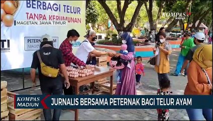 Jurnalis Bersama Peternak Bagi Telur Ayam