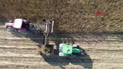 SİVAS'TA İZİNLİ İLK KENEVİR HASADI