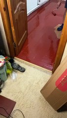 Man Traps Himself With Paint