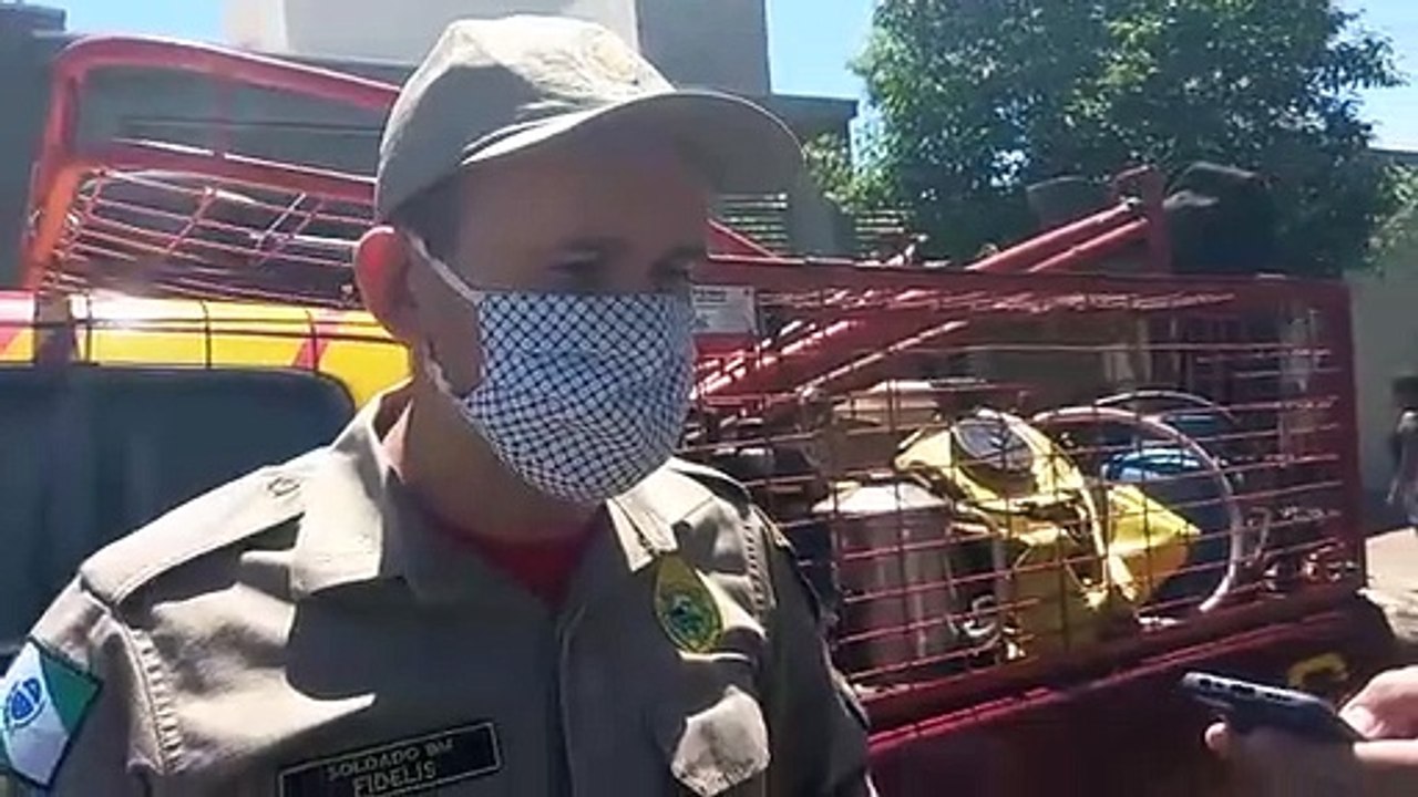Bombeiros são acionados para retirar cobra de quintal de casa, em Umuarama