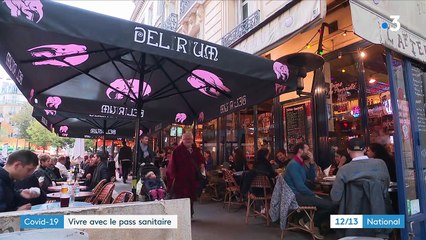 Covid-19 : comment vivent les Français avec le pass sanitaire ?