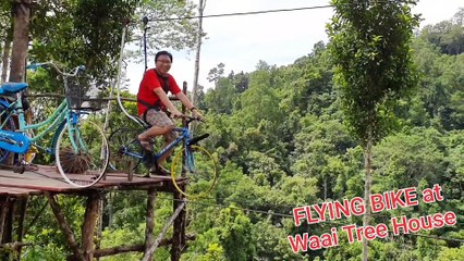 FLYING BIKE (Sepeda Terbang) at Waai Tree House Ambon, Moluccas, Indonesia
