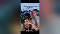 Squid Game Netflix Dogs And Cats - Tik Tok Cats Squid Game - MEOW