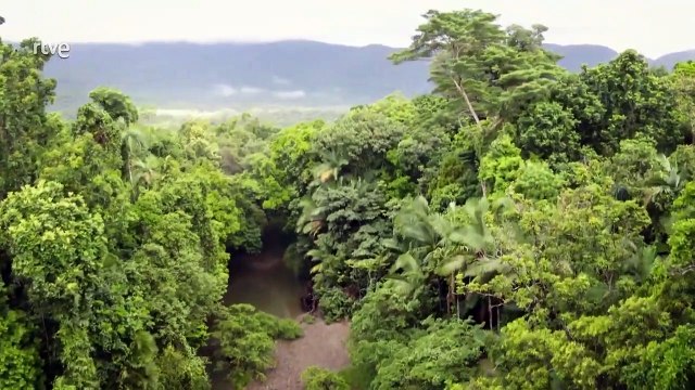 El poder del pósum. historias salvajes. Documental.