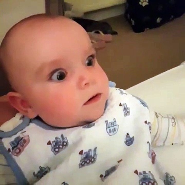 Quand un oiseau rentre dans la chambre