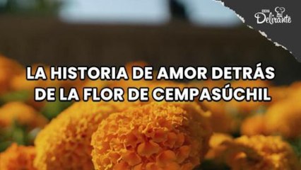 La historia de AMOR detrás de la flor de Cempasúchil.| Cocina Delirante