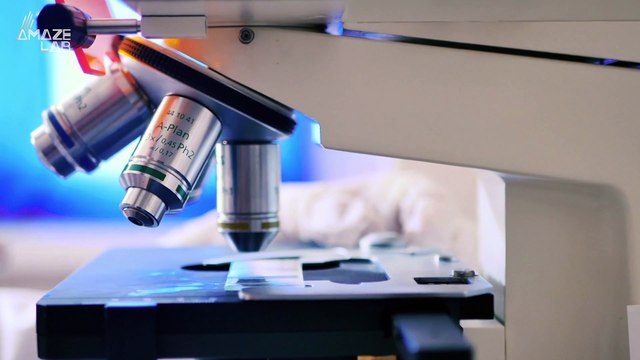 These Lab Created Human Organs are One Millionth the Size of Real Organs