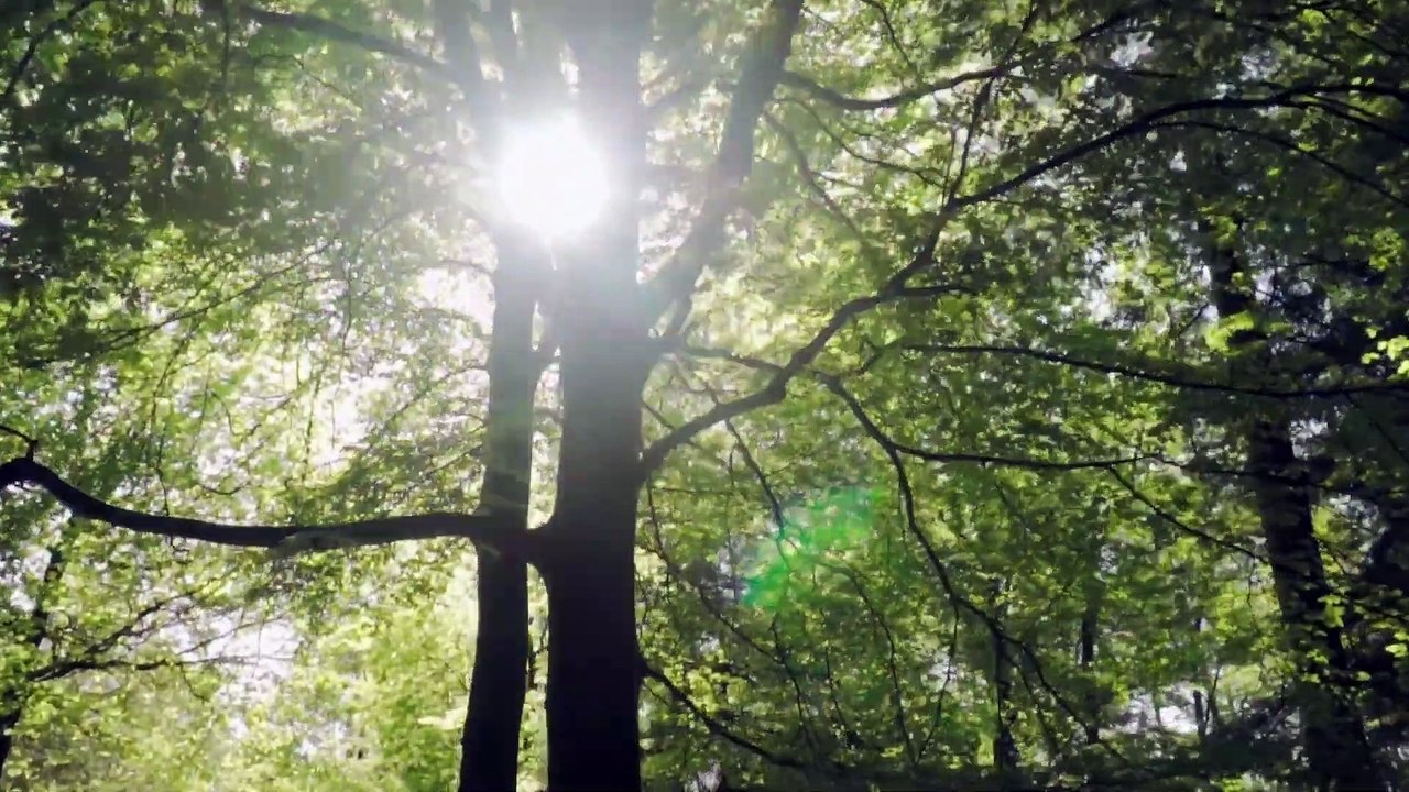 1 Minute Guitar Music- Instrumental Background Music   Relaxing Guitar