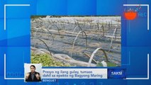 Pinsala sa agrikultura, aabot sa P692 million - DA | Saksi